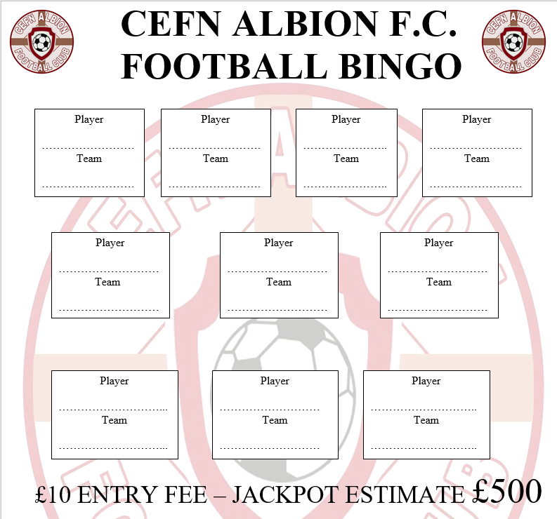 Football Bingo Competition For Sophia